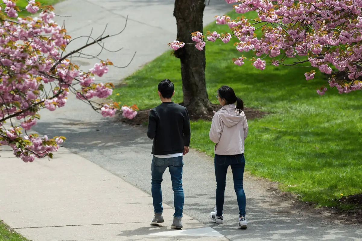 Students walking to class at the University of 罗彻斯特.